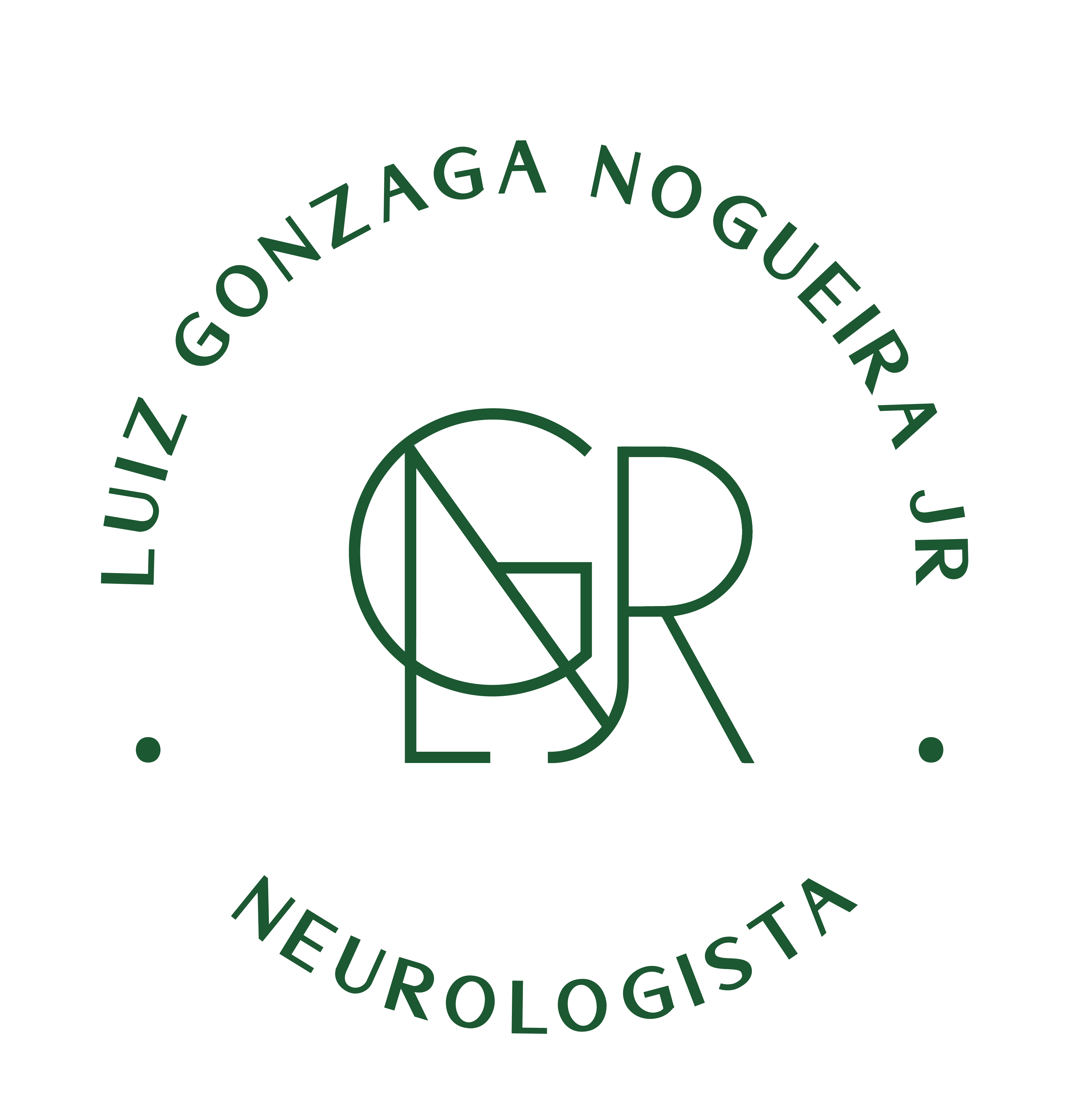 Luiz Gonzaga Nogueira Junior