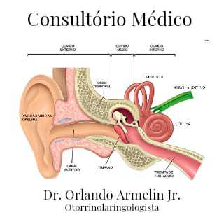 Orlando Armelin Junior