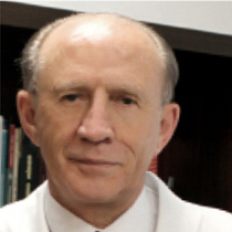 Srgio Mies